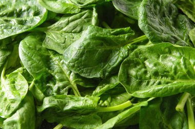 Arkaplan olarak taze ıspanak yaprakları