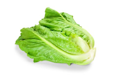 Beyaz arka planda taze romaine marulu