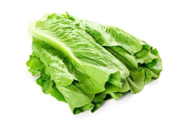 Beyaz arka planda taze romaine marulu
