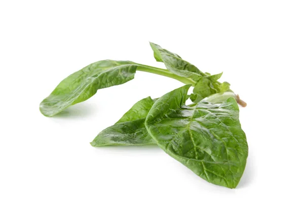 Fresh Spinach Leaves White Background — Stock Photo, Image