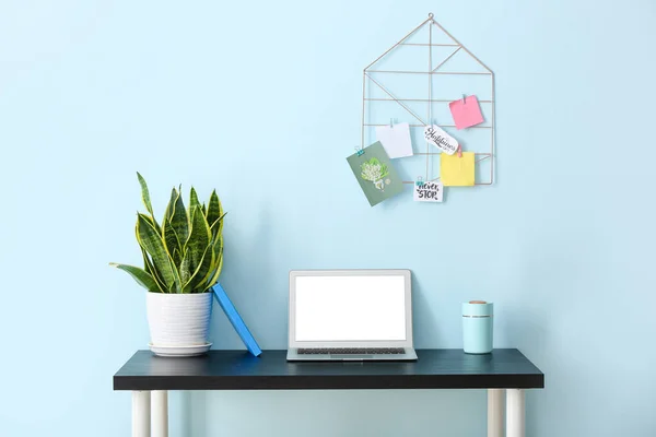 Laptop Humidifier Houseplant Table Color Wall — Stock Photo, Image