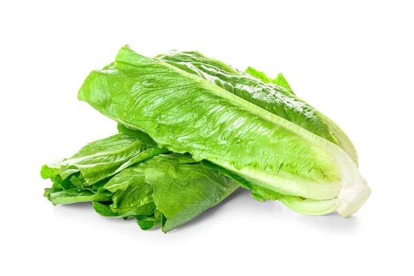stock image Fresh romaine lettuce on white background