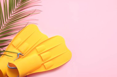 Renkli arka planda yüzgeçler ve palmiye yaprağı