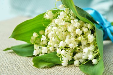 Vadideki güzel zambak çiçekleri sandalyede, yakın plan