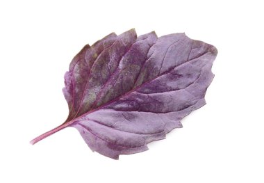 Beyaz arkaplanda taze fesleğen yaprağı