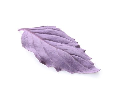 Beyaz arkaplanda taze fesleğen yaprağı