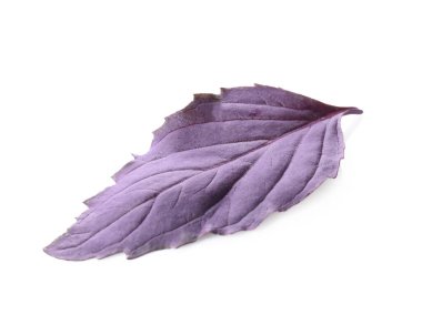 Beyaz arkaplanda taze fesleğen yaprağı