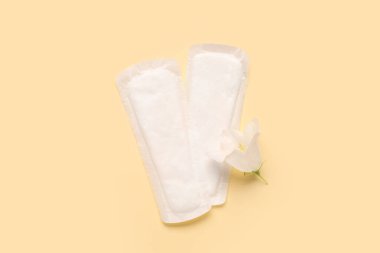 Menstrual pads and flower on color background