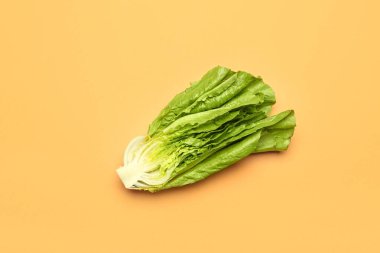 Renkli arkaplanda taze romaine marulu