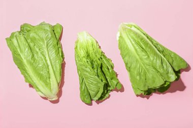 Renkli arkaplanda taze romaine marulu