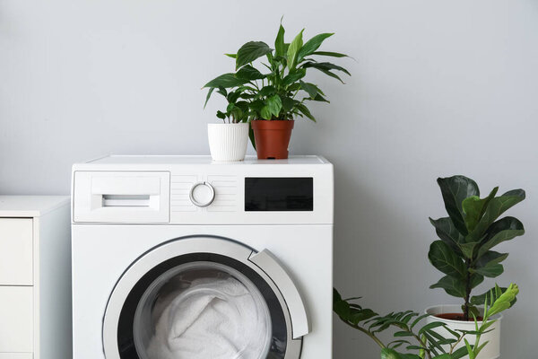 Современная стиральная машина со стиркой и комнатными растениями возле светлой стены