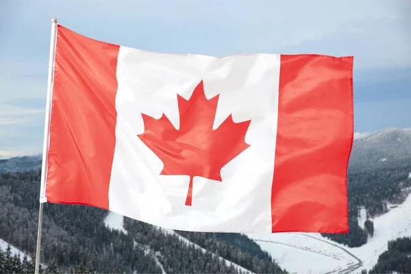 Bandera Nacional Canadá Las Montañas Día Invierno —  Fotos de Stock