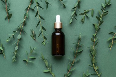 Renkli arka planda gerekli yağ ve okaliptüs dallarıyla dolu bir şişe