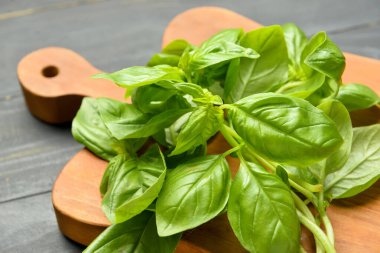 Koyu ahşap arka planda taze fesleğen yapraklı tahta, yakın plan.