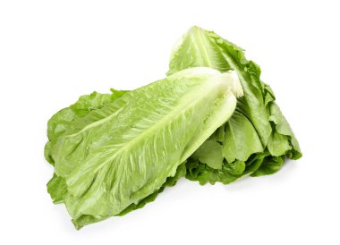 Beyaz arka planda taze romaine marulu