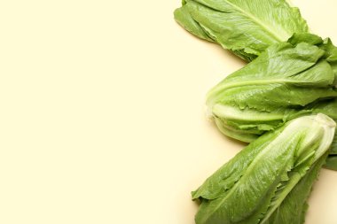 Renkli arkaplanda taze romaine marulu