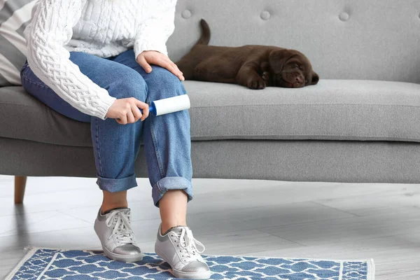 Young Woman Cute Dog Cleaning Her Jeans Home — Stock Photo, Image