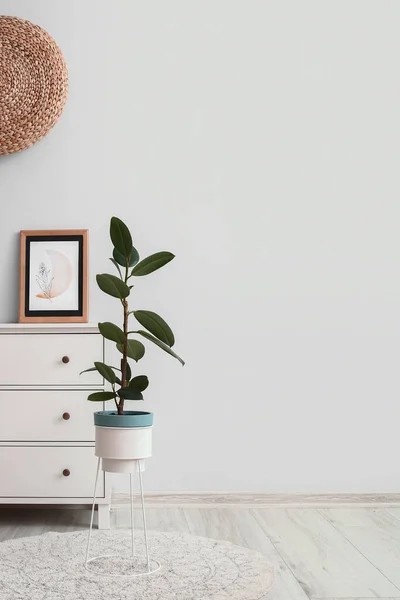 Modern Chest Drawers Picture Houseplant Light Wall — Stock Photo, Image