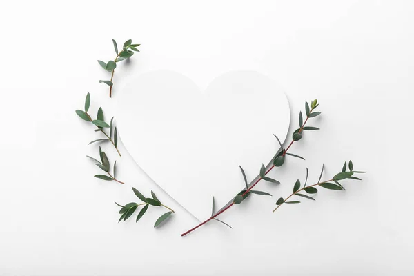 Carte Vierge Forme Coeur Branches Eucalyptus Sur Fond Blanc — Photo