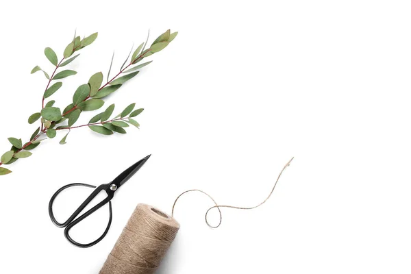 Composition Eucalyptus Branches Scissors Rope White Background — Stock Photo, Image