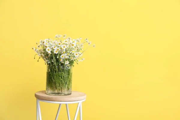Vase Beautiful Chamomiles Table Color Wall — Stock Photo, Image