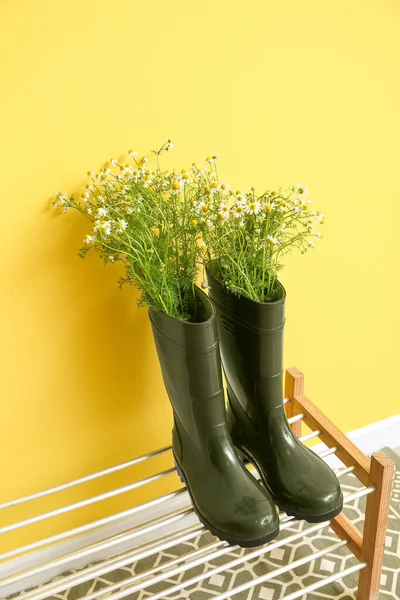 Stand Avec Des Bottes Gomme Des Camomilles Près Mur Couleur — Photo