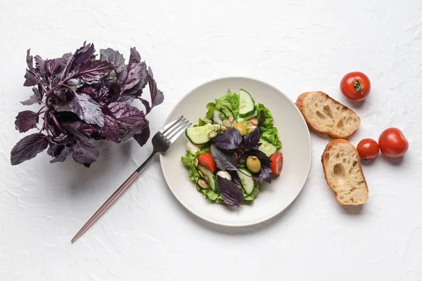 Plate Tasty Fresh Salad Bread Light Background — Stock Photo, Image