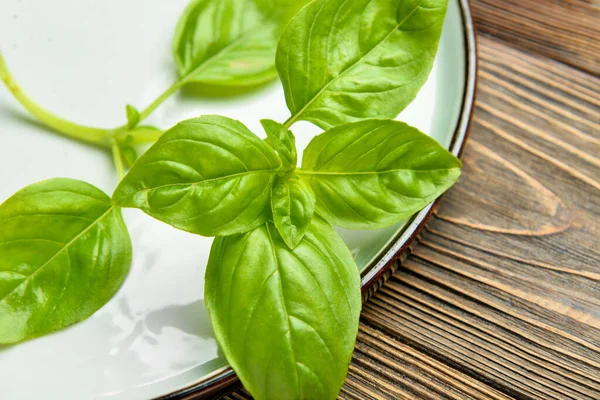 Plate Fresh Basil Wooden Background Closeup — Stock Photo, Image