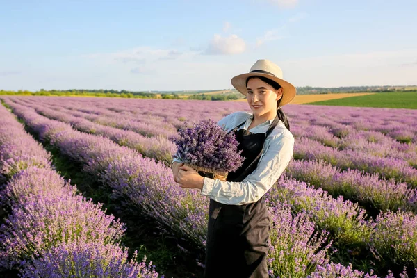 Female Farmer Holding Box Lavender Flowers Field — Stock Photo, Image