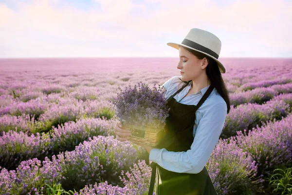 Female Farmer Holding Box Lavender Flowers Field — Stock Photo, Image