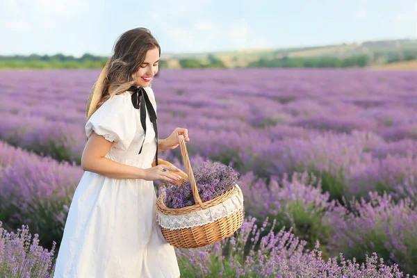 Beautiful Young Woman Basket Lavender Field — Stock Photo, Image