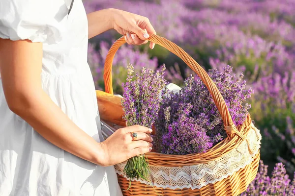 Beautiful Young Woman Basket Picnic Lavender Field — Stock Photo, Image
