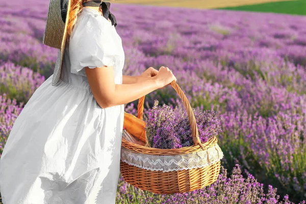 Beautiful Young Woman Basket Picnic Lavender Field — Stock Photo, Image