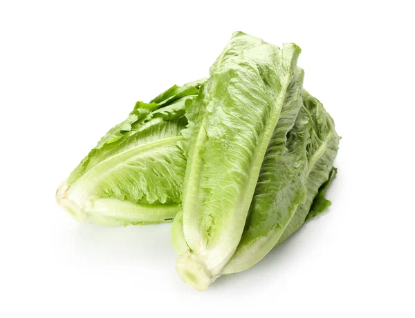 Fresh Romaine Lettuce White Background — Stock Photo, Image