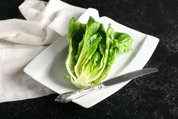 Plate Fresh Romaine Lettuce Dark Background Closeup — Stock Photo, Image