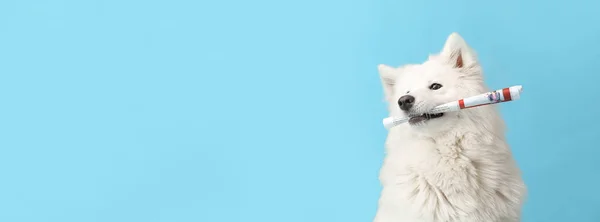 Cute Funny Dog Newspaper Color Background Space Text — Stock Photo, Image