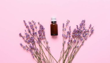 Gerekli yağ ve lavanta çiçekleri renkli arka planda