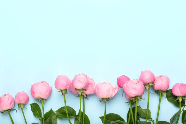 Hermosas Rosas Peonía Sobre Fondo Color — Foto de Stock