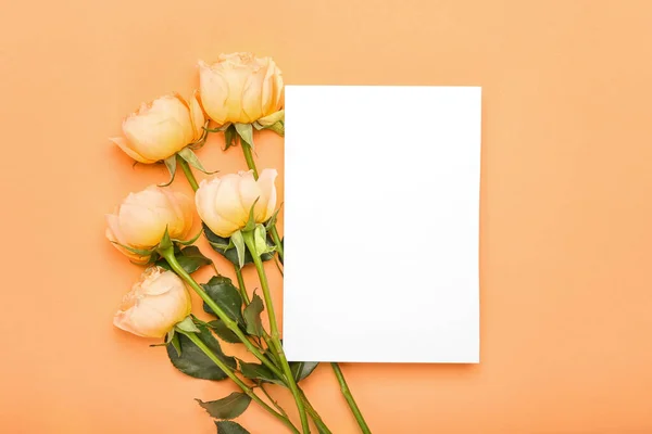 Blanco Kaart Mooie Pioenrozen Kleur Achtergrond — Stockfoto