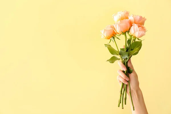 Női Kéz Gyönyörű Bazsarózsa Rózsák Színes Háttér — Stock Fotó