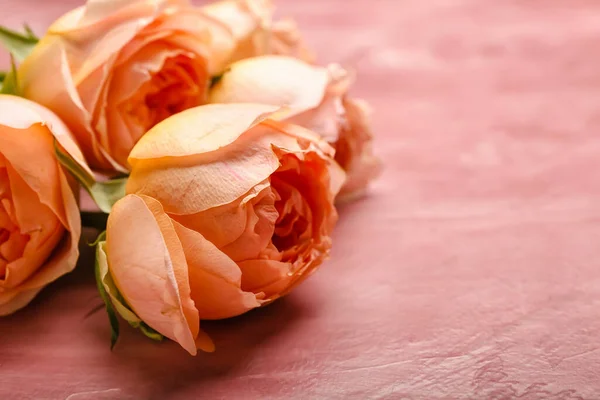 Hermosas Rosas Peonía Sobre Fondo Color — Foto de Stock
