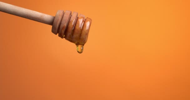 Zoete Honing Druipt Van Dipper Tegen Kleur Achtergrond — Stockvideo