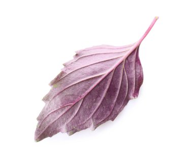 Beyaz arkaplanda taze fesleğen yaprağı