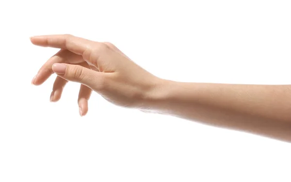 Mano Femenina Sobre Fondo Blanco — Foto de Stock