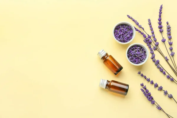 Composition Bottles Lavender Essential Oil Flowers Color Background — Stock Photo, Image