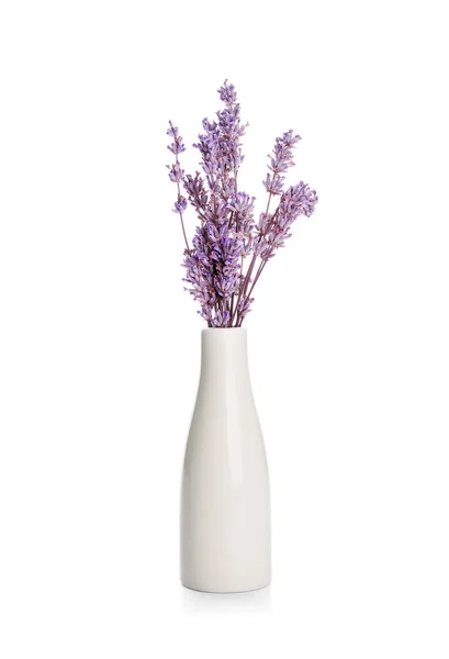 Vase Mit Schönen Lavendelblüten Auf Weißem Hintergrund — Stockfoto