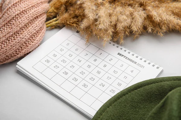 带帽子 围巾和轻便背景的潘帕斯草的日历 — 图库照片