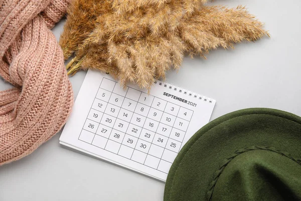 带帽子 围巾和浅色背景的潘帕斯草的日历 — 图库照片