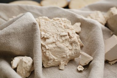 Masada taze maya briketleri var.