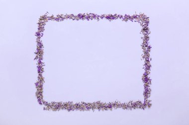 Renkli arkaplanda güzel lavanta çiçeklerinden yapılmış çerçeve